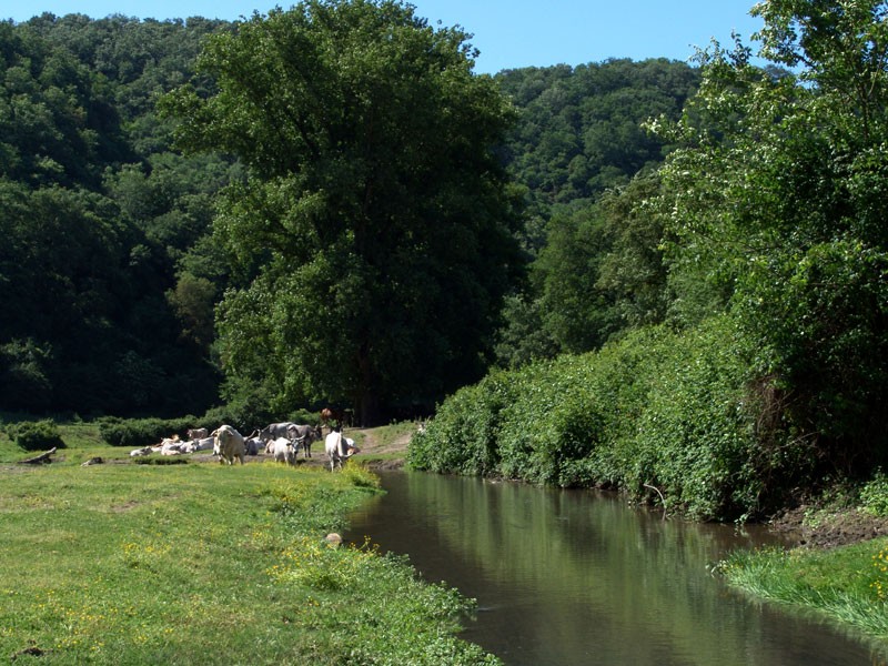 Ecoturismo nel Parco di Veio, tra storia e natura