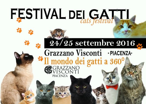 Festival dei gatti 2016 per la prima volta a Grazzano Visconti