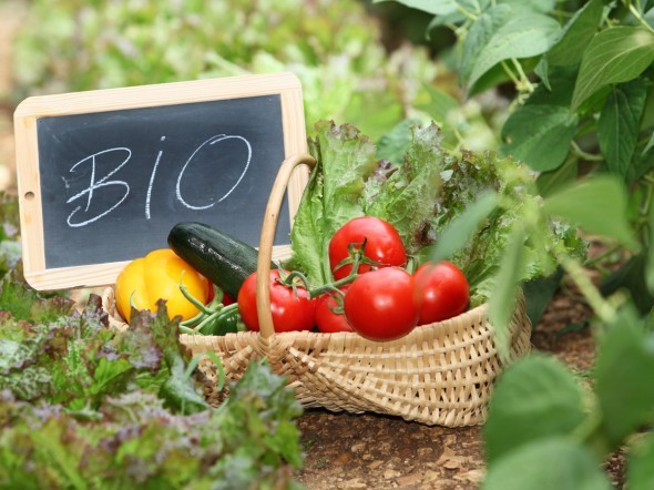 Edenred premia il cibo che fa bene alla salute ed all'ambiente