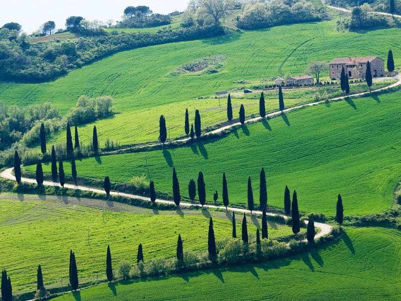 Firenze, non solo Medici e arte. Itinerari naturalistici