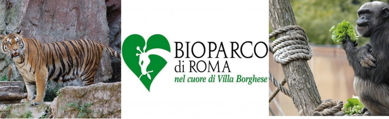 Al Bioparco di Roma con i bambini alla scoperta di ambienti freddi e ghiacciai