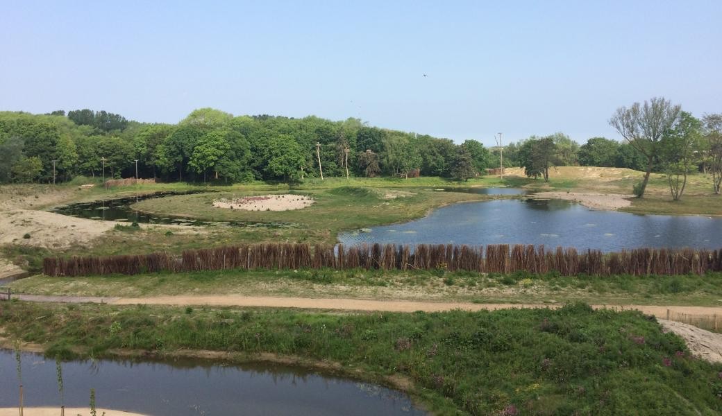 Viaggio d'autunno in Belgio: visita allo Zwin Parc