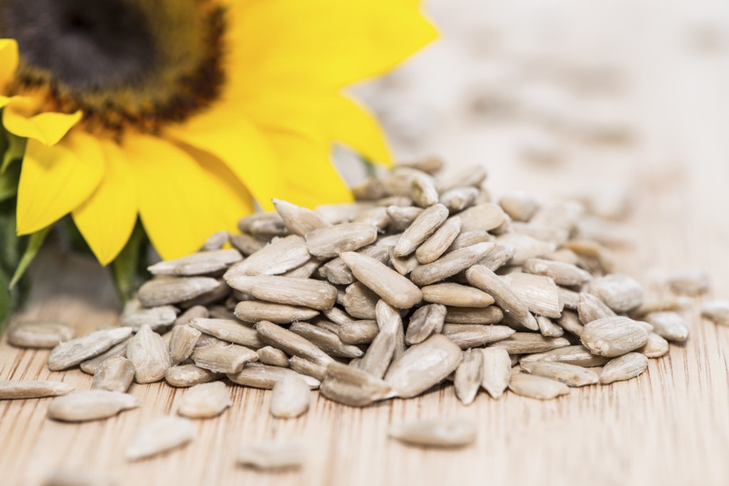 Semi di girasole,10 buoni motivi per mangiarli