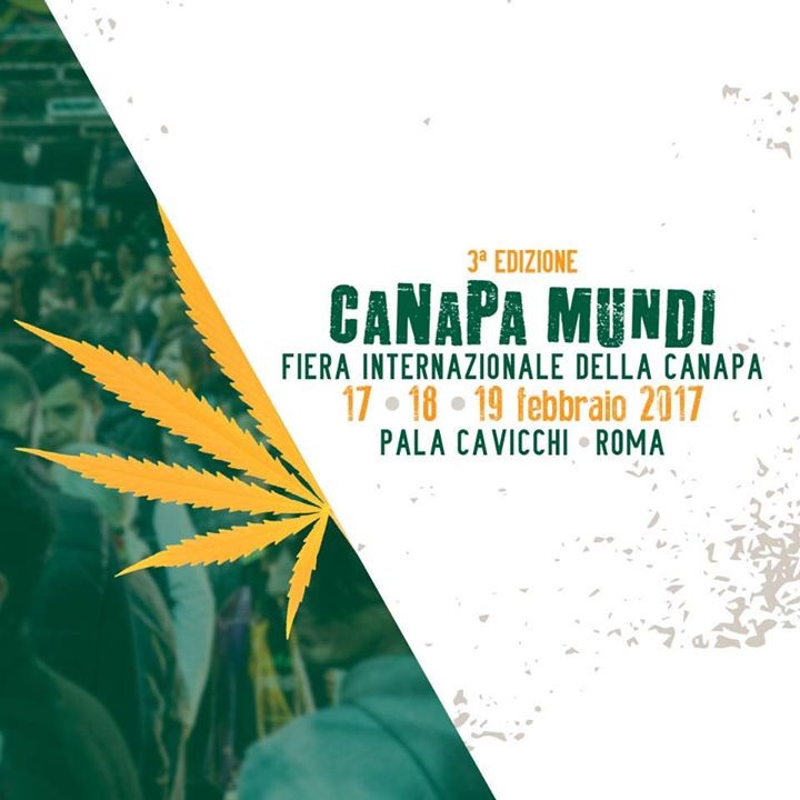 Canapa mundi, a Roma la pianta amica dell'ambiente
