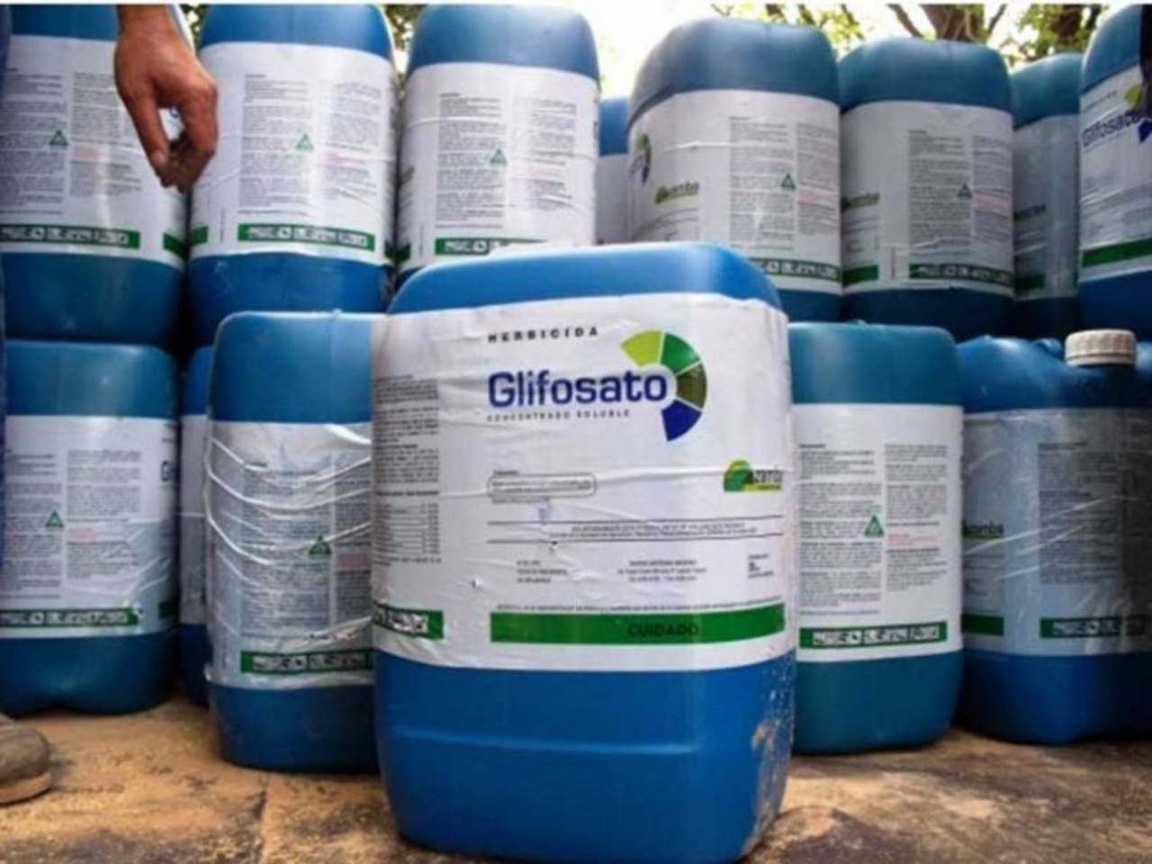 Una raccolta di firme per bloccare l’uso del glifosato nell’UE