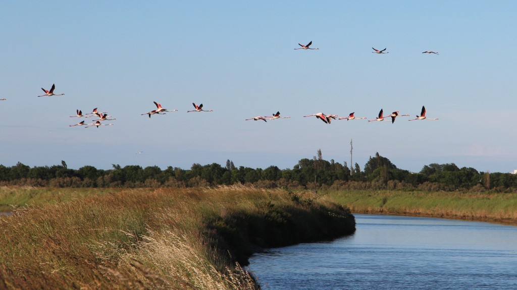 Delta del Po, Convegno sul turismo sostenibile