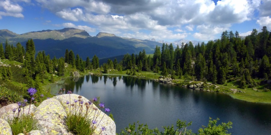 alpi-appuntamenti