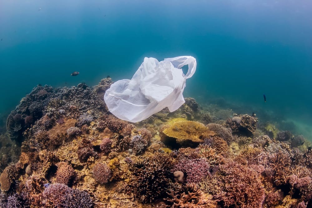 conseguenze-plastica-mare-4