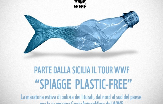 1527587848085.jpg--plastic_free