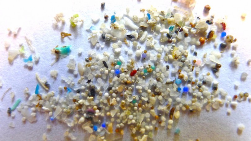SIMA-Onlus-Medicina-Ambientale-Microplastiche-e-Salute-810x455
