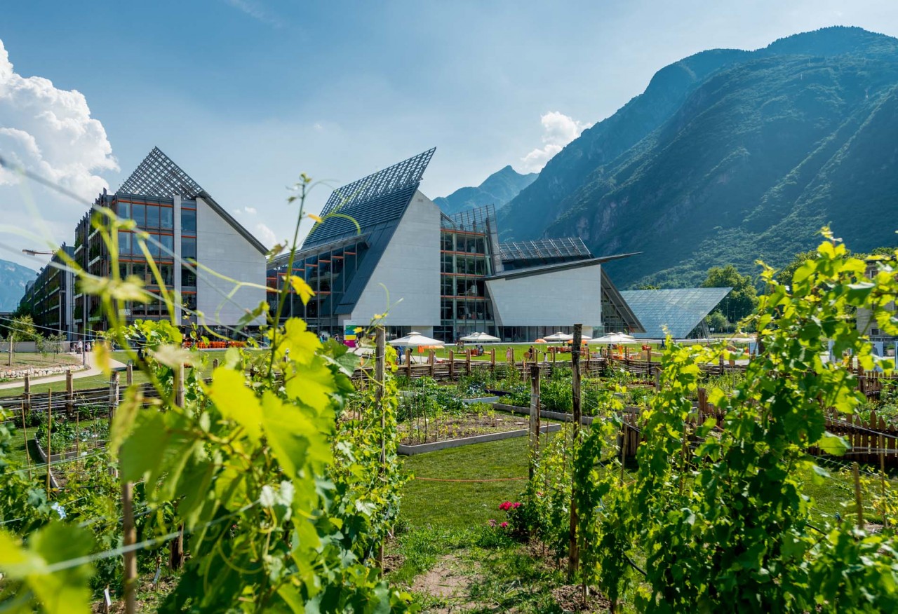 La Biodiversità si festeggia al MUSE