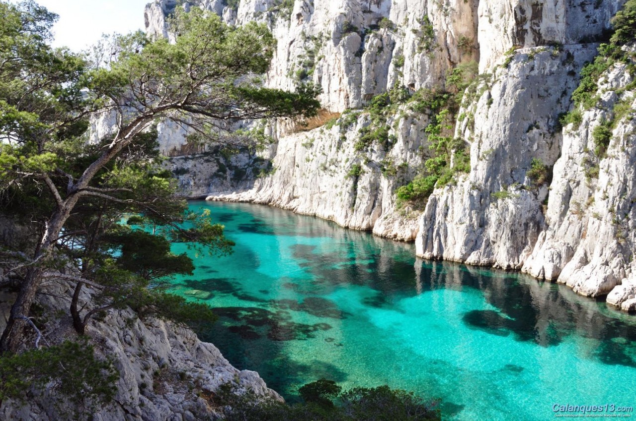 In Provenza, nel Parco Naturale delle Calanques