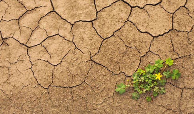 Allarme clima, tavola rotonda a Roma su nuove fonti energetiche
